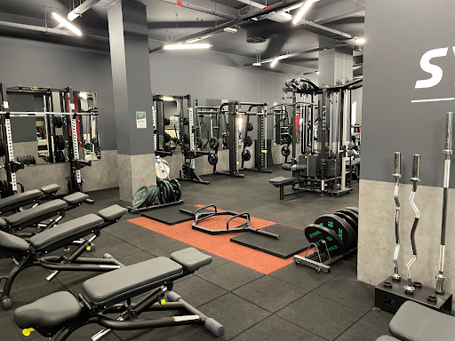 Synergym Albacete Universidad en Albacete, Albacete