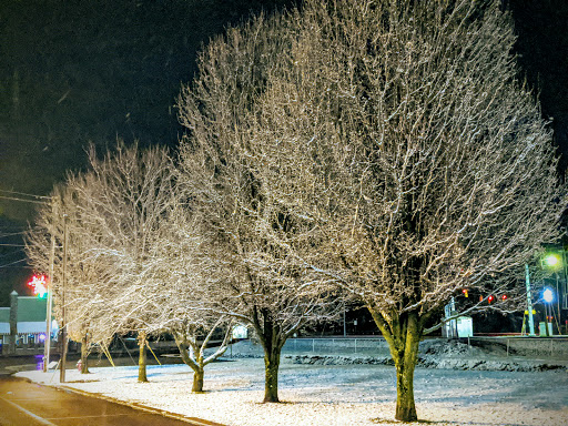 Ace Hardware, 441 Front St, Spring City, TN 37381, USA, 