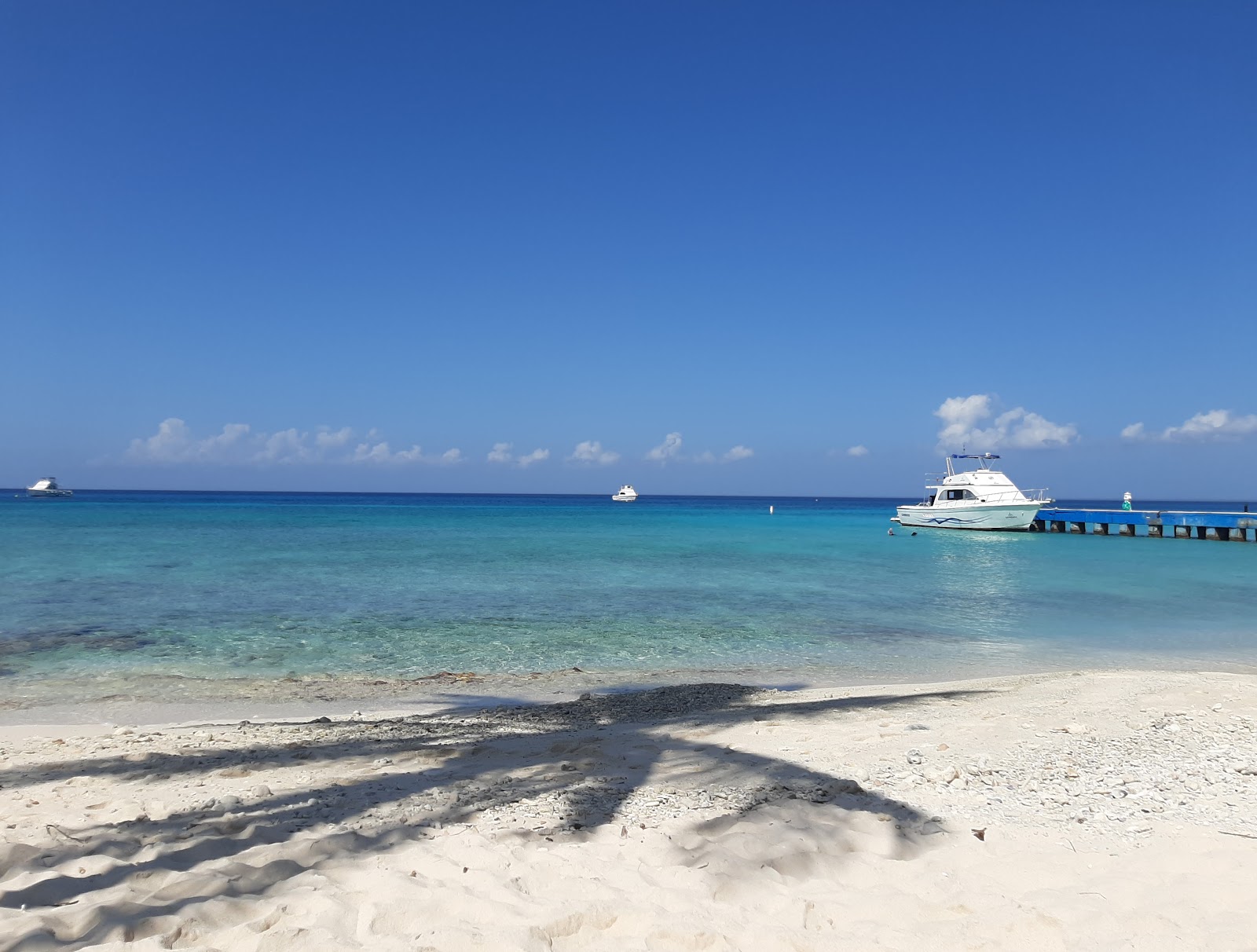 Playa Maria La Gorda'in fotoğrafı kısmen temiz temizlik seviyesi ile