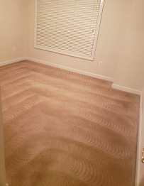Queen Carpet & Upholstery Cleaning - Photo 4 - Car repair in Daly City, CA, San Francisco