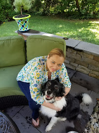 Blissful Paws - Photo 6 - Car repair in , Trenton