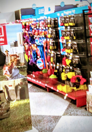 Pet Supply Store «Petco Animal Supplies», reviews and photos, 1170 Arnold Dr #115, Martinez, CA 94553, USA