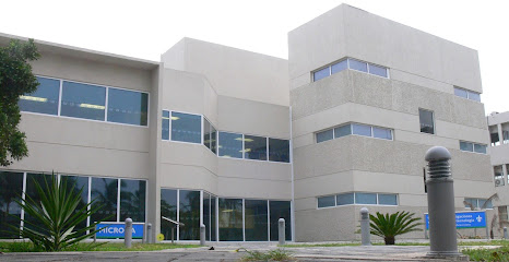 Centro de Investigación en Micro y Nanotecnología (MICRONA)