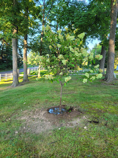 Landscape Designer «Hamilton Landscape Supply & Nursery», reviews and photos, 20612 Capital Ave NE, Battle Creek, MI 49017, USA