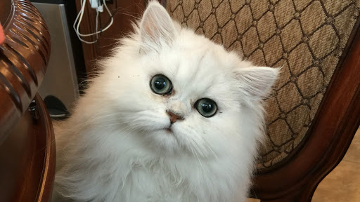 235 W Main St, Woodland, CA 95695, USA