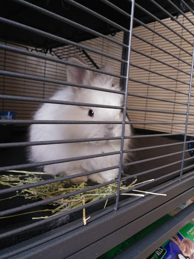 Pet Supply Store «Mini Ranch Feed Store», reviews and photos, 10103 Moursund Blvd, San Antonio, TX 78221, USA