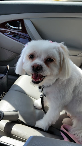 Pet Supply Store «PetSmart», reviews and photos, 4794 Jimmy Lee Smith Pkwy #108, Hiram, GA 30141, USA