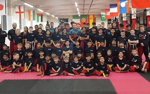 Fusion Martial Arts Centre Ltd image