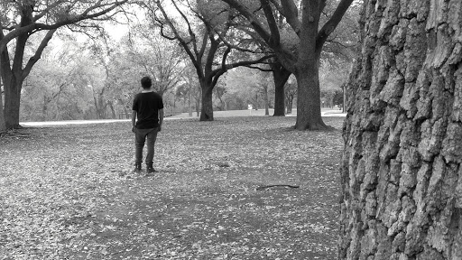 Park «Lake Cliff Park», reviews and photos, 300 E Colorado Blvd, Dallas, TX 75201, USA