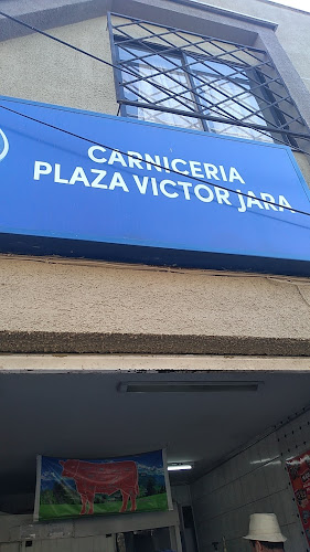 Carniceria plaza Victor Jara