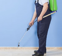 Snowball Pest Control - Photo 3 - Car repair in Highland Heights, KY, Cincinnati