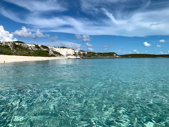 Iguana beach