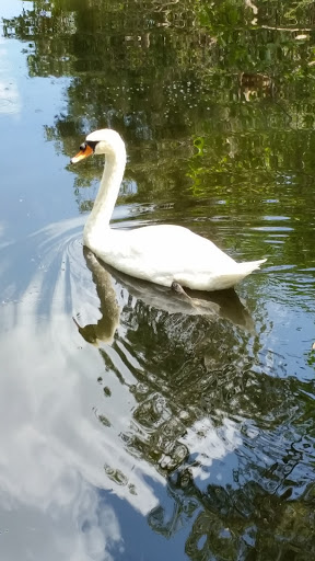 State Park «Hugh Taylor Birch State Park», reviews and photos, 3109 E Sunrise Blvd, Fort Lauderdale, FL 33304, USA
