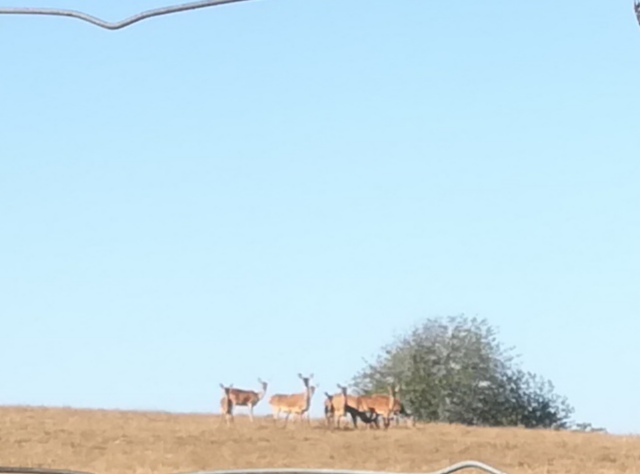 Photo n° 1 de l'avis de mylène.o fait le 23/09/2020 à 12:14