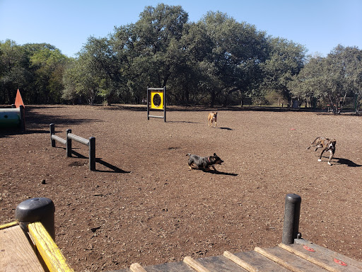 Dog friendly parks in San Antonio