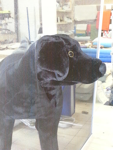 Pet Supply Store «The Beach Dog», reviews and photos, 3512 Del Prado Blvd, Cape Coral, FL 33904, USA