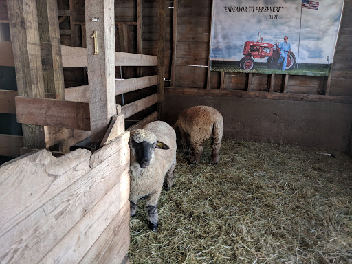 Pumpkin Patch «Barts Farm and Pumpkin Patch», reviews and photos, 7307 Alburnett Rd, Marion, IA 52302, USA