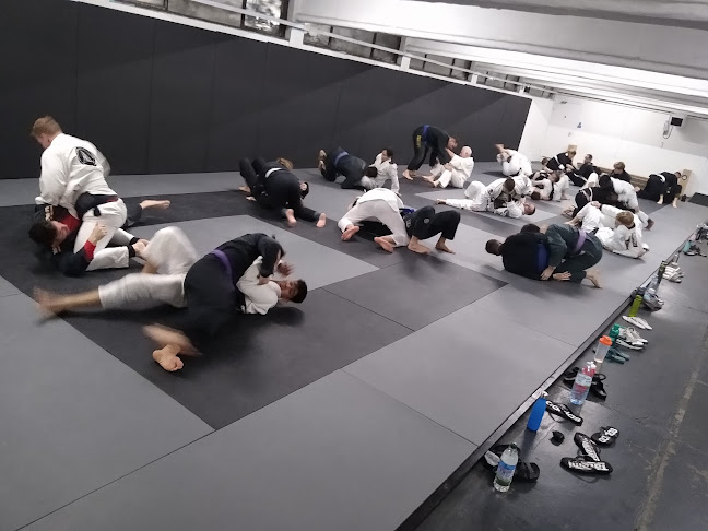 Reviews of Centre Line BJJ in Worthing - Association