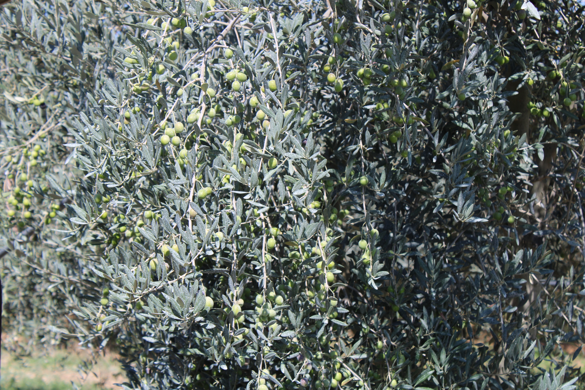 Photo n° 4 de l'avis de Joké.u fait le 28/09/2023 à 14:09