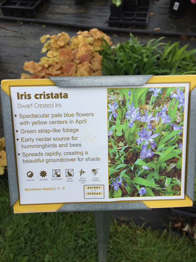 Golf Course «Mount Pleasant Golf Course», reviews and photos, 6001 Hillen Rd, Baltimore, MD 21239, USA