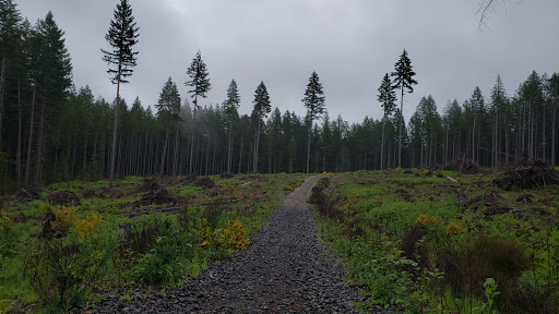 Mission Creek Trailhead