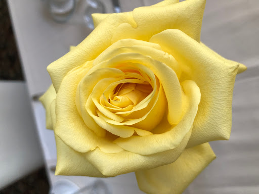 Hotel «Villa Vosilla», reviews and photos, 6302 Main St, Tannersville, NY 12485, USA