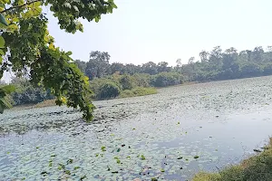 Kamaldah Lake image