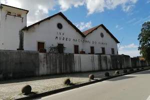 Museu do Vinho de Alcobaça image