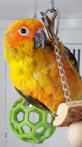 Lodging «PetSmart North Ogden», reviews and photos, 175 W 12th St, Ogden, UT 84404, USA