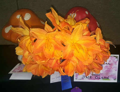 Event Venue «Florence Events Center», reviews and photos, 715 Quince St, Florence, OR 97439, USA