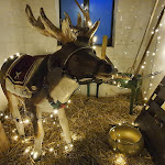 Photo n°20 de l'avis de Angelo.i fait le 26/12/2021 à 09:26 sur le  L'antica Stazione | Piazza Armerina ( EN ) | Enna à Enna