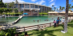 Foto de Lagoon Beach com baía espaçosa