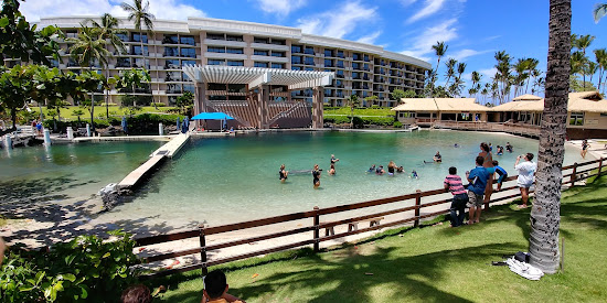 Lagoon Beach