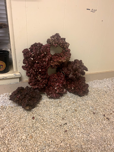 Tropical Fish Store «Pass Road Pet Center (Just Fish)», reviews and photos, 1939 Pass Rd, Biloxi, MS 39531, USA