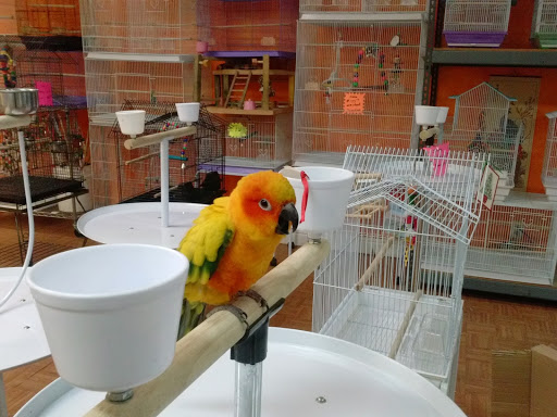 Pet Store «Louis Birds Pets & Supplies», reviews and photos, 80 Keyes St, San Jose, CA 95122, USA