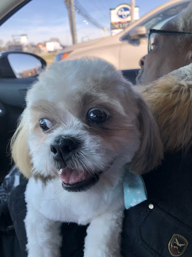 Pet Supply Store «EarthWise Pet Supply», reviews and photos, 7316 Yankee Rd, Liberty Township, OH 45044, USA