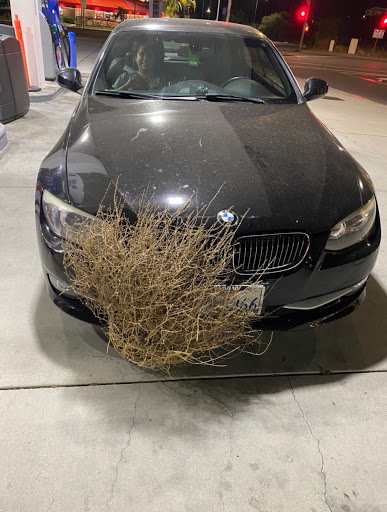 Car Wash «Pavilion Car Wash, Quick Lube & Detail Center», reviews and photos, 2334 Fair Oaks Blvd, Sacramento, CA 95825, USA