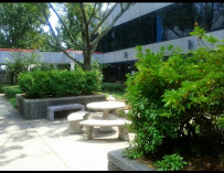 Fresh Start Chiropractic, LLC. - Photo 3 - Car repair in Atlanta, GA, Atlanta