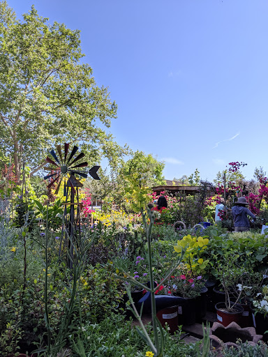 Garden Center «Ladera Garden & Gifts», reviews and photos, 3130 Alpine Rd #380, Portola Valley, CA 94028, USA