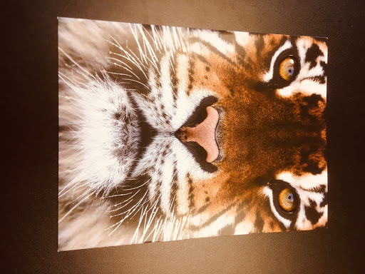 Print Shop «AlphaGraphics Cumberland Galleria», reviews and photos, 2030 Powers Ferry Rd SE #100, Atlanta, GA 30339, USA