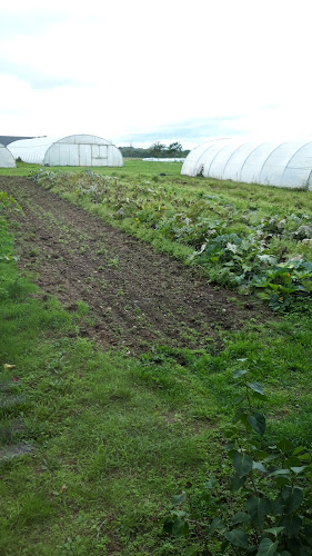 Association agricole ESAT Le Bergerat Vesdun