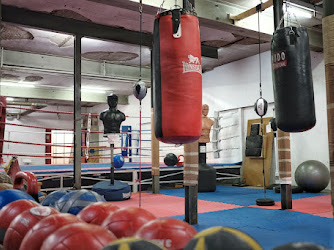 Boxclub Sportring Zürich