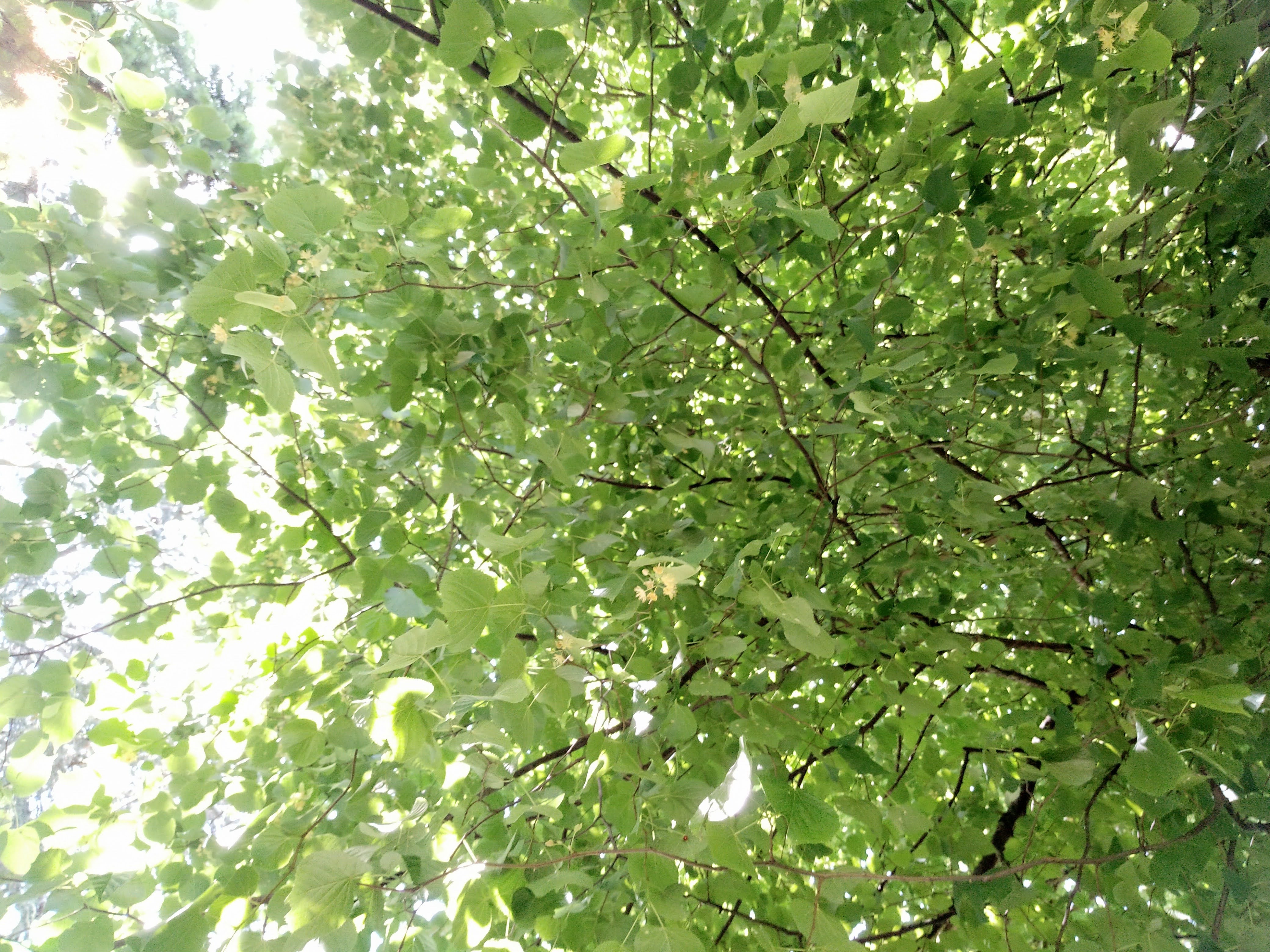 Photo n° 14 de l'avis de erika. fait le 29/05/2022 à 11:34