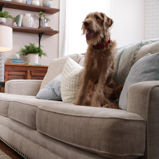 Furniture Store «Furniture Liquidators - Jeffersonville, IN», reviews and photos, 1425 E 10th St, Jeffersonville, IN 47130, USA