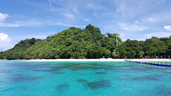 Koh Rok Yai Plajı'in fotoğrafı ve güzel manzarası