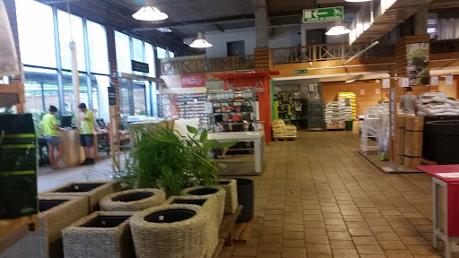 Magasins pour acheter du kokedama Lyon