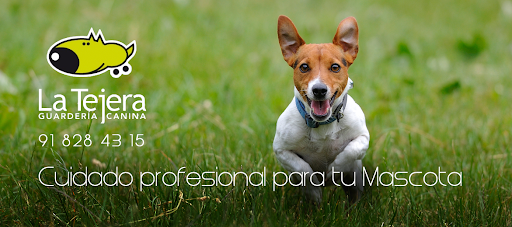 Clínica Veterinaria La Navata en Galapagar