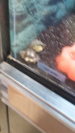 Pet Supply Store «Petco Animal Supplies», reviews and photos, 1215-1309 NJ-33 #1, Hamilton Township, NJ 08690, USA