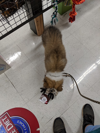 Pet Supply Store «Copper Creek Mercantile», reviews and photos, 4415 River Rd N, Keizer, OR 97303, USA