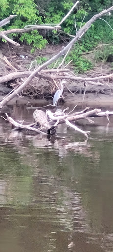 Boat Tour Agency «Padelford Packet Boat Co», reviews and photos, 205 Dr Justus Ohage Blvd, St Paul, MN 55107, USA